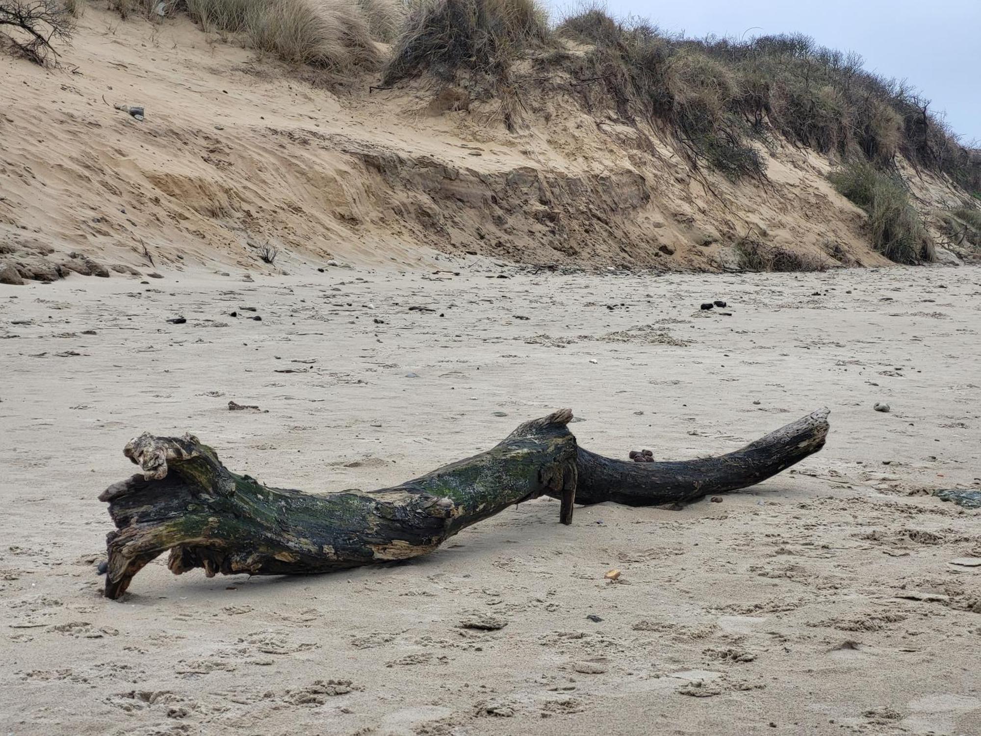 La Marine D'Opale Daire Ambleteuse Dış mekan fotoğraf